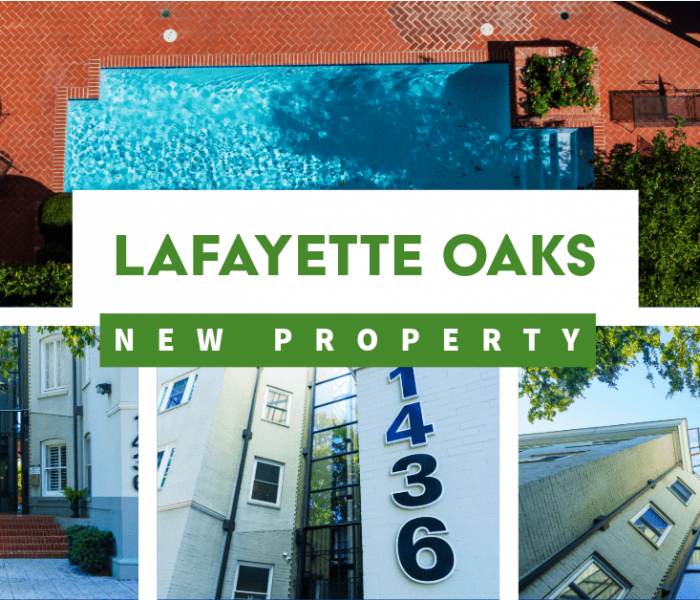 Lafayette Oaks